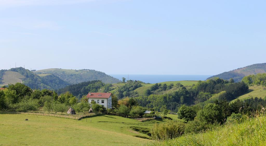 Olaskoaga Goikoa Aia